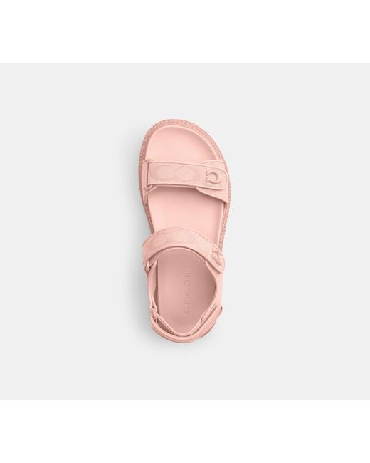 COACH Black Brynn Sandal