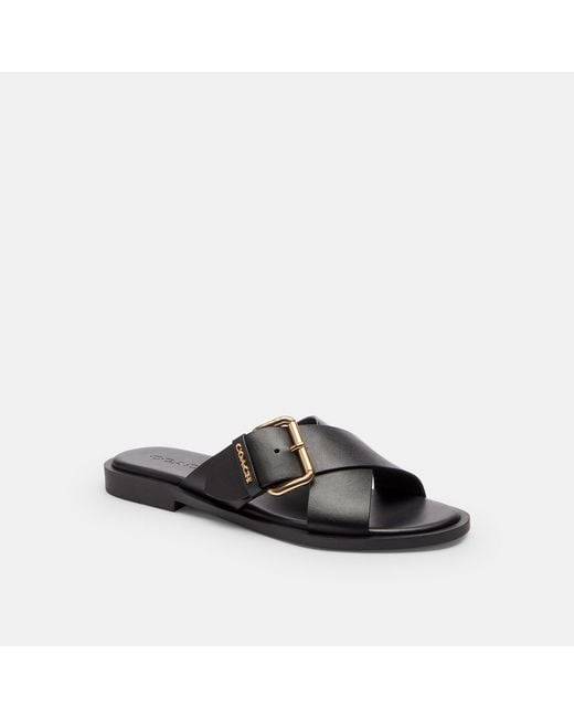 COACH Women's Black Crisscross Buckle Sandal