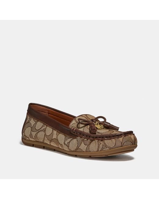 moira loafer coach