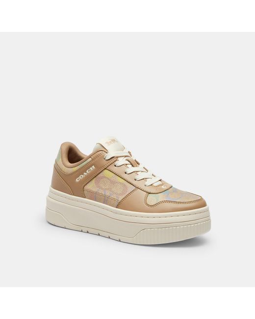 COACH Natural Platform Sneaker