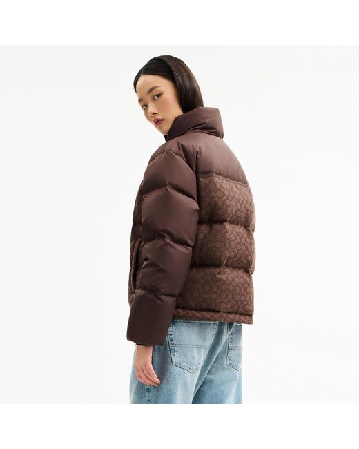 COACH Brown Signature Down Jacket