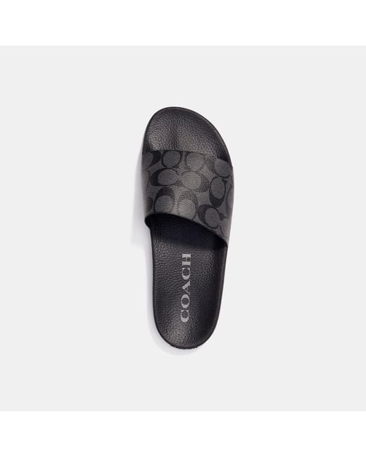 COACH Black Slide for men