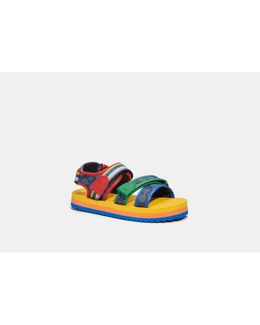 COACH Black Sport Sandal In Signature Jacquard And Rainbow for men