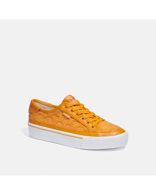 Coach Outlet Orange Citysole Platform Sneaker In Signature Terry Cloth