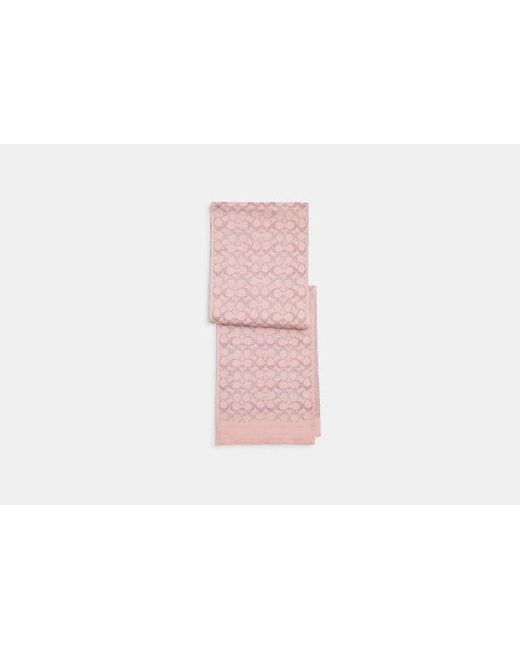 COACH Pink Signature Metallic Knit Scarf
