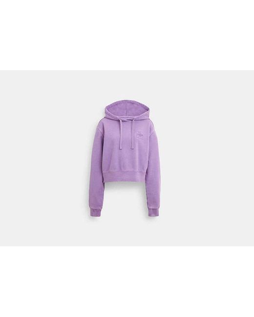 COACH Purple Garment Dye Cropped Hoodie