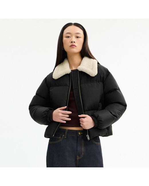 COACH Black Puffer With Shearling Collar