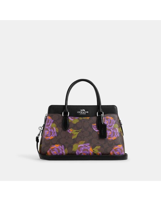 Coach Outlet Purple Darcie Carryall In Signature Canvas With Rose Print