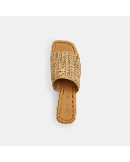 COACH Metallic Phoebe Platform Sandal