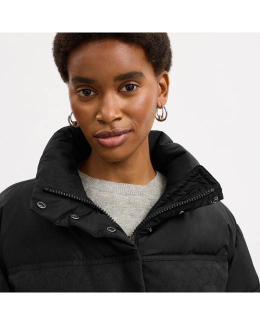 COACH Black Signature Down Jacket