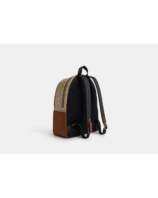 COACH Brown Large Court Backpack In Signature Canvas