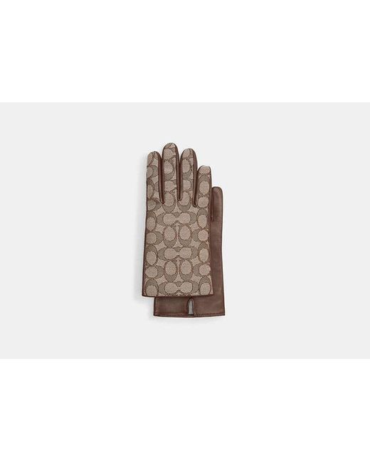 COACH Black Signature Jacquard And Leather Tech Gloves
