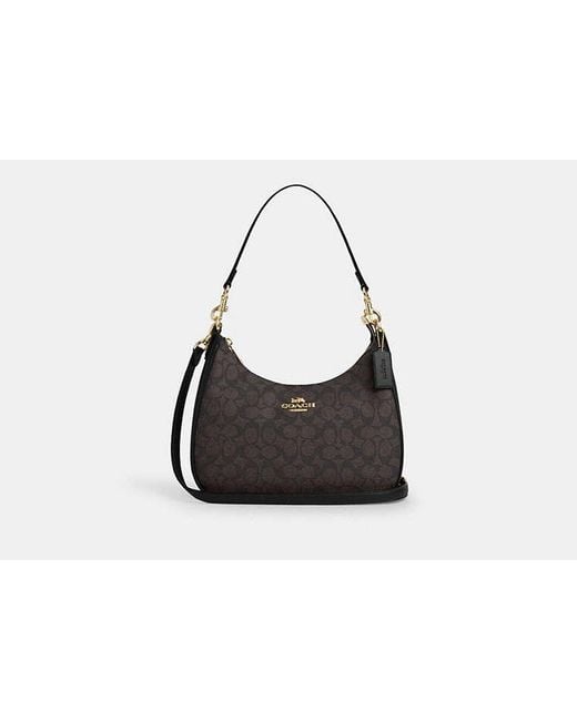 COACH Black Teri Hobo Bag
