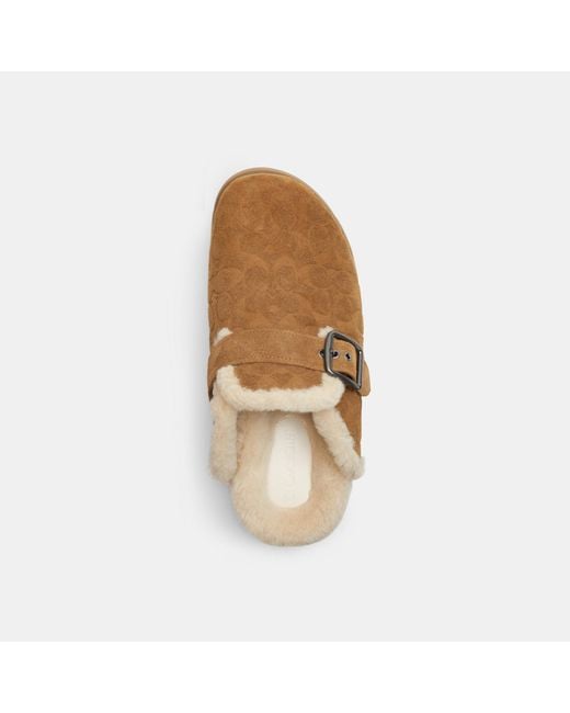 COACH Brown Buckle Clog for men