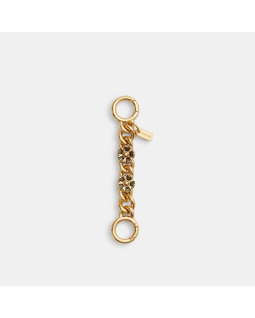 COACH Metallic Tea Rose Strap Extender