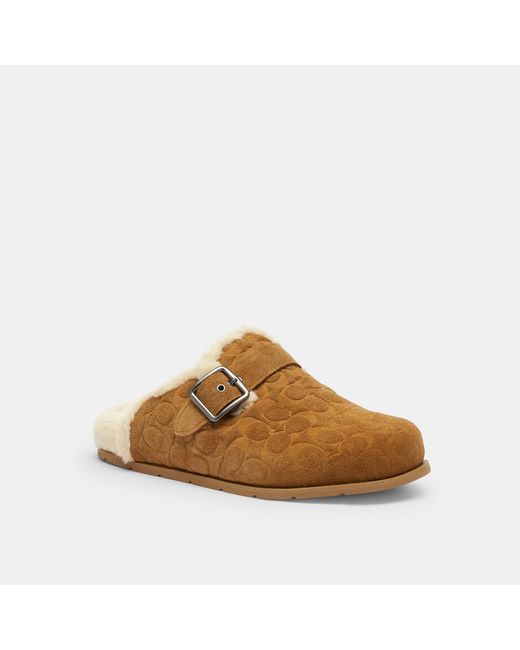 COACH Brown Buckle Clog for men