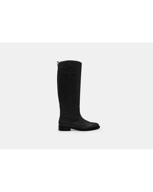 Extended calf boots best sale