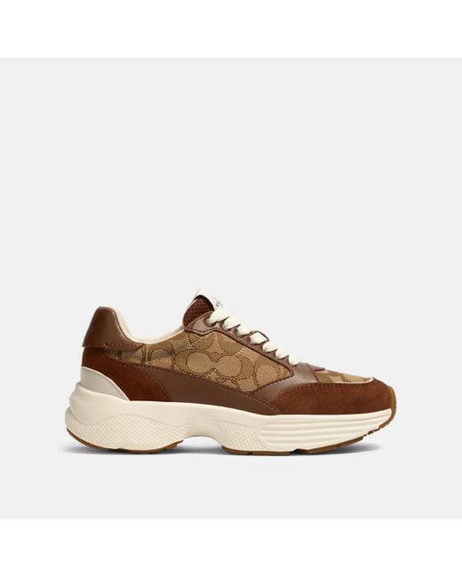 coach sneakers runner
