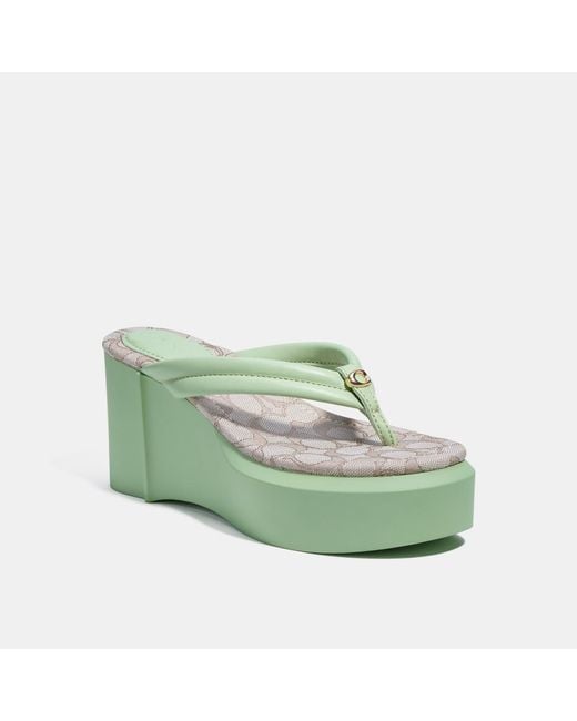 Coach Outlet Franki Flip Flop in Green Lyst
