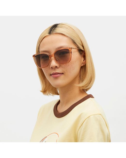 Coach outlet best sale glasses