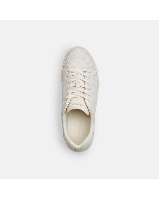 COACH White Sneakers