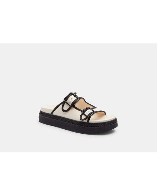 COACH Black Lainey Sandal