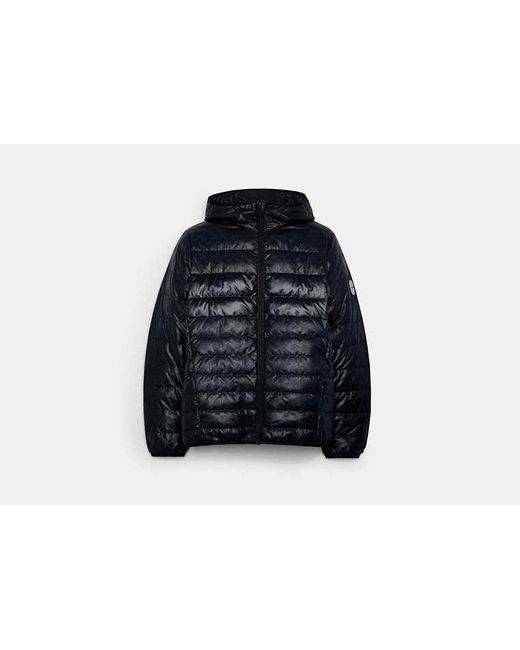 COACH Black Packable Down Jacket for men