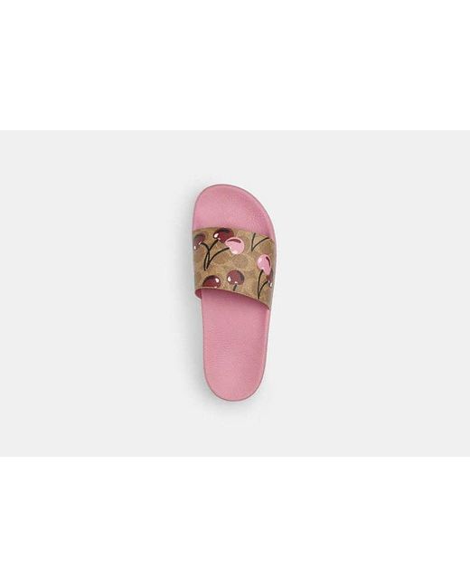 COACH Udele Sport Slide In Signature Canvas With Cherry Print in Red | Lyst