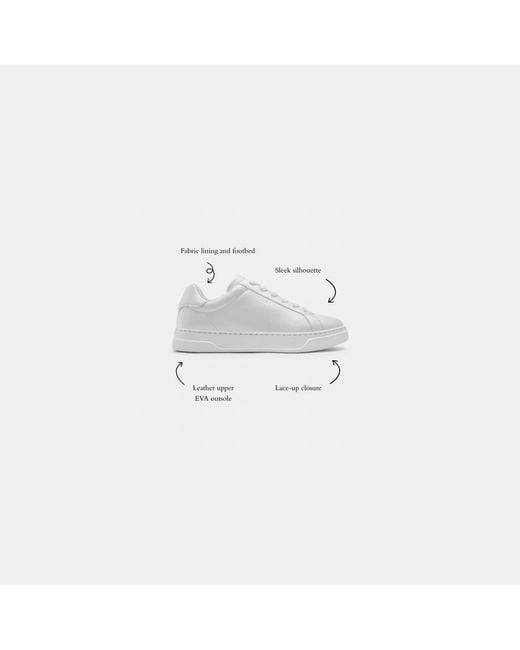 COACH Black High Line Sneakers