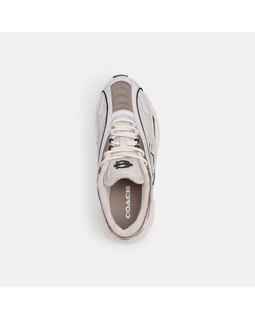 COACH White Sneakers