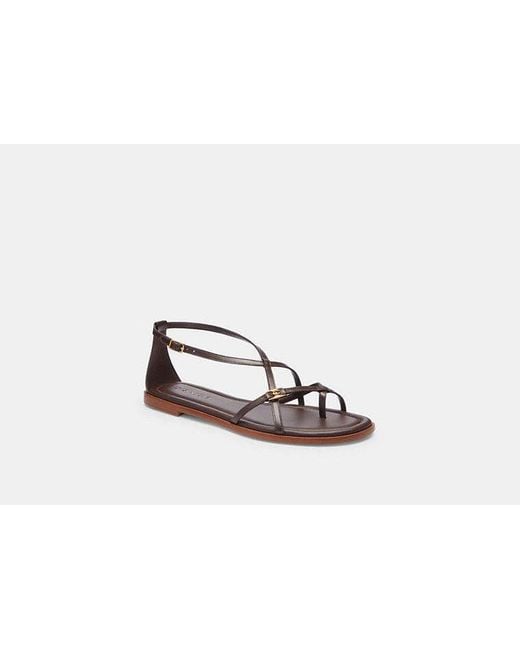 COACH Black Jenni Sandal
