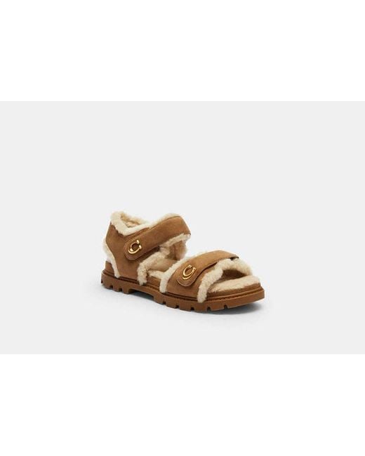 COACH Black Brynn Sandal