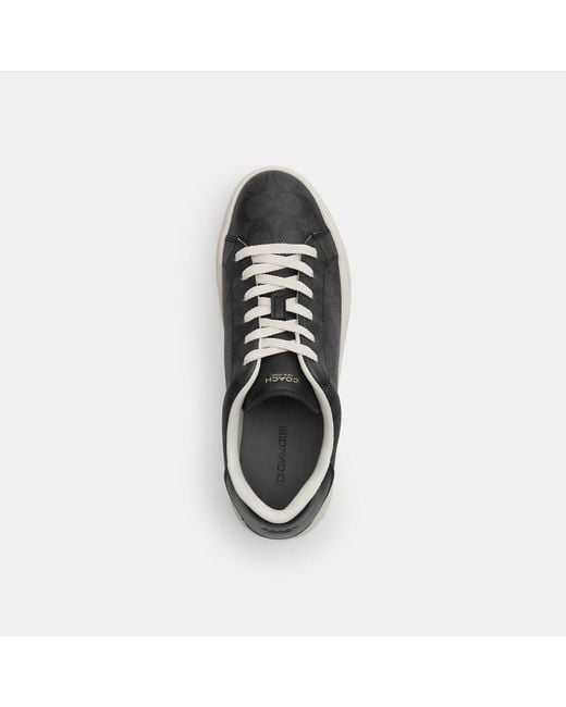 COACH Black High Line Sneakers