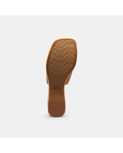 COACH Metallic Phoebe Platform Sandal