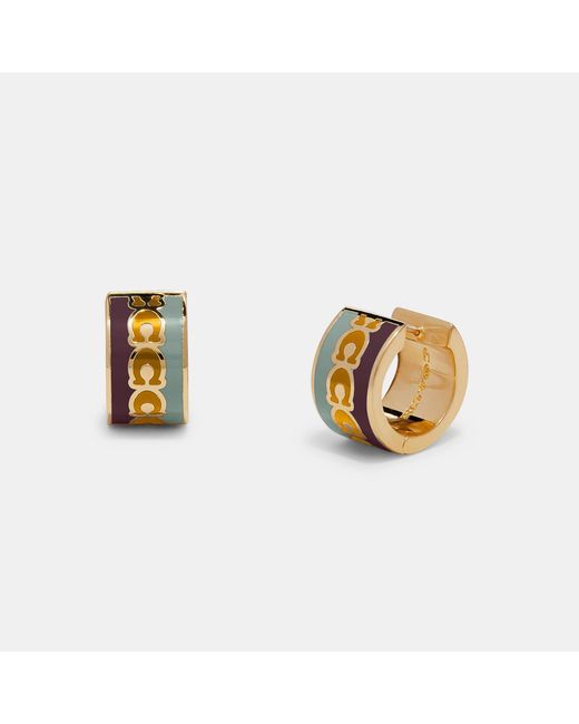 Coach sale outlet earrings