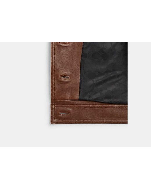 COACH Brown Shrunken Leather Jacket