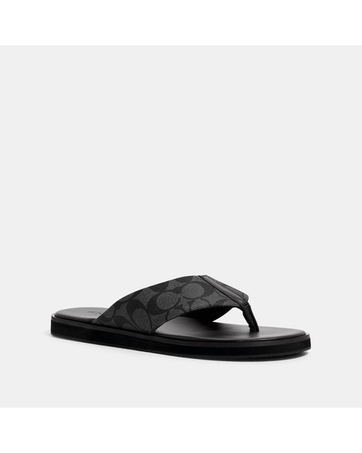 coach signature flip flops
