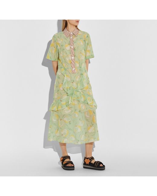 Apple Print Long Ruffle Shirt Dress 