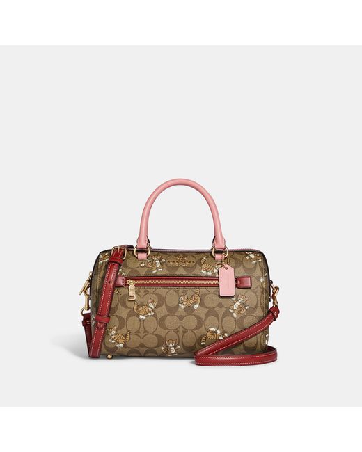 Coach Outlet Rowan Satchel In Signature Canvas With Dancing Kitten ...
