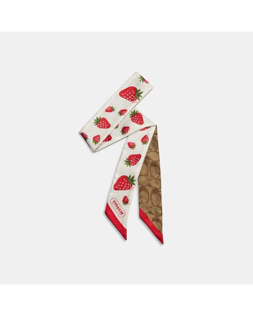 Coach Outlet Red Signature Wild Strawberry Print Silk Skinny Scarf