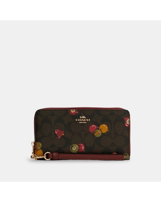 coach outlet
