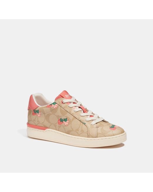 Coach Outlet Clip Low Top Sneaker With Strawberry Print in Pink | Lyst