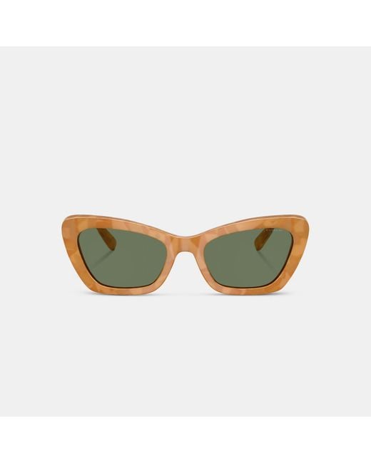 COACH Green Wire Cat Eye Sunglasses