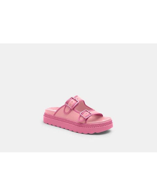 COACH Pink Lainey Sandal