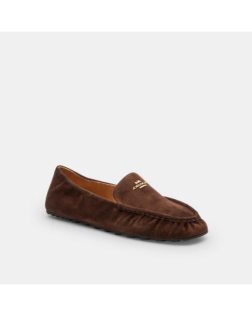 COACH Brown Phoebe Soft Loafer