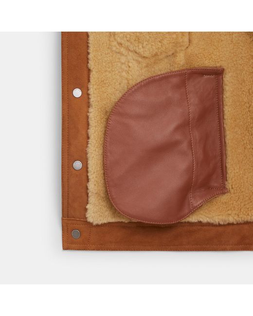 Coach Outlet Shearling Trucker Jacket in Brown for Men Lyst