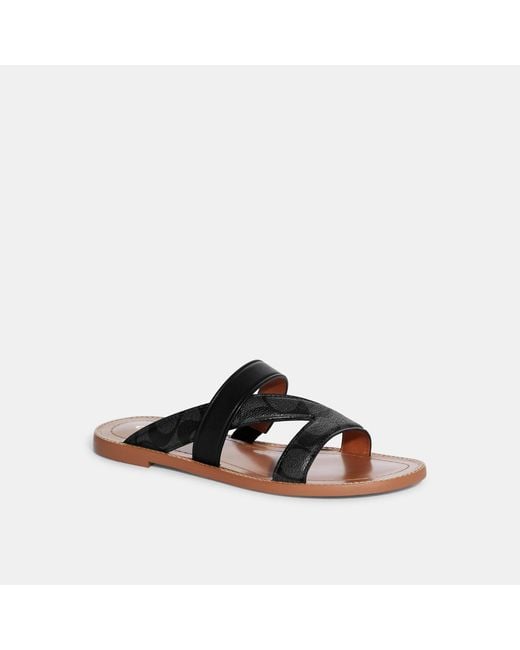 Coach Outlet Black Harlan Sandal