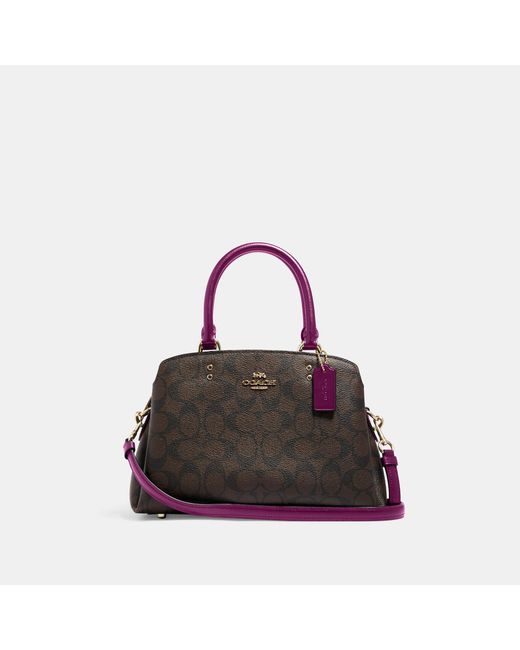 coach outlet mini lillie carryall