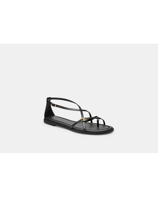 ★COACH★K-POPアイドル愛用★Jenni Sandal★サンダル 特価！ ☆COACH☆K-POPアイドル愛用☆Jenni Sandal☆サンダル 特価！ Ω