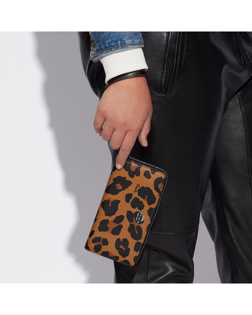 Coach cheetah wallet new arrivals